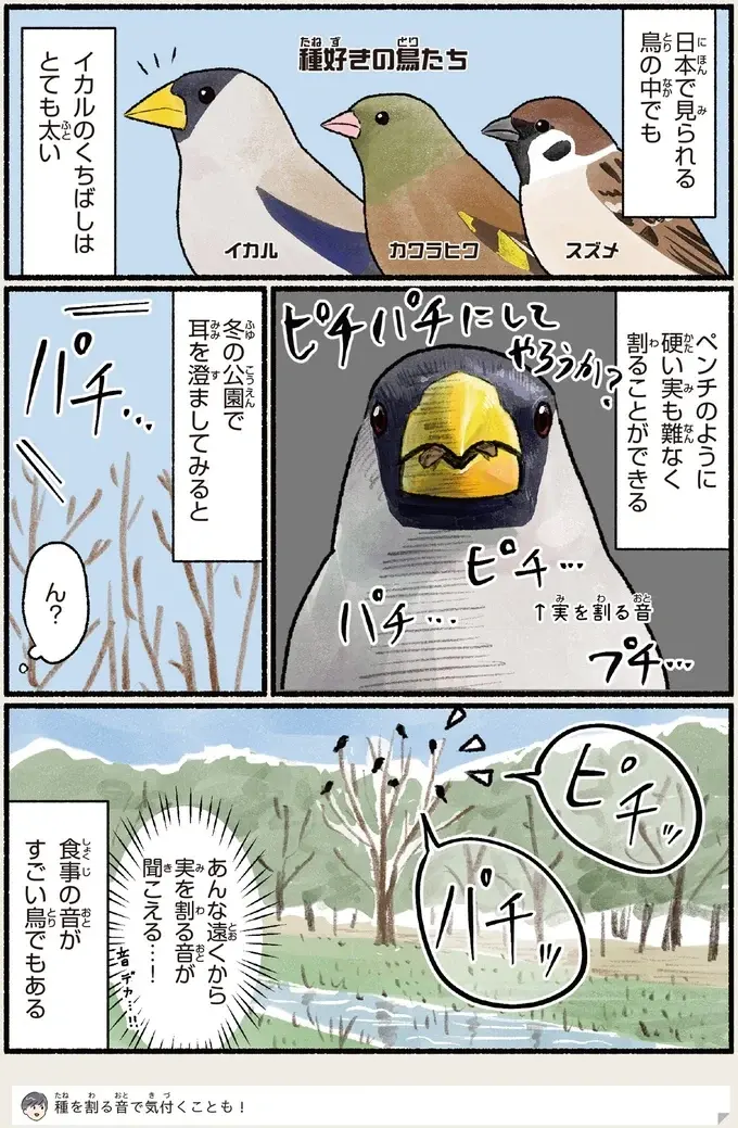 『意外と知らない鳥の生活 1〜2』（101）