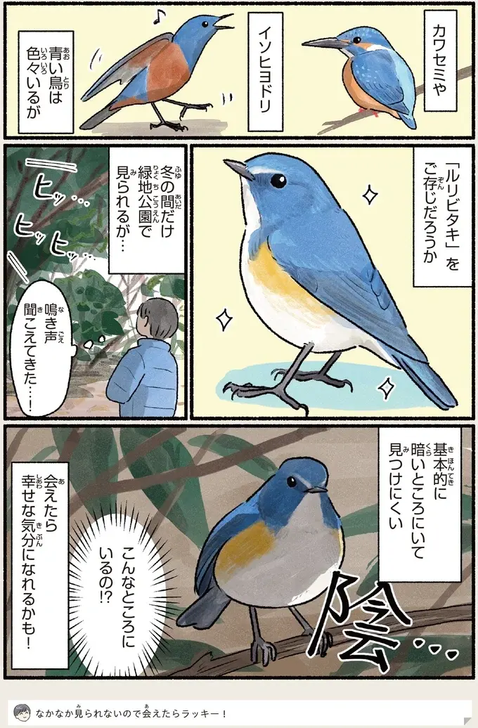 『意外と知らない鳥の生活 1〜2』（102）