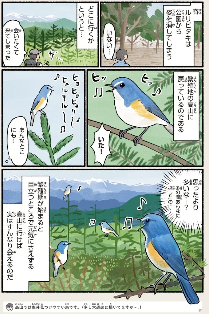 『意外と知らない鳥の生活 1〜2』（103）