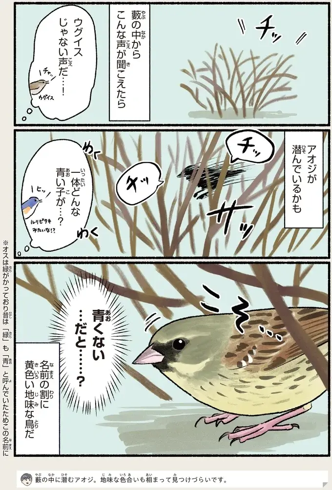 『意外と知らない鳥の生活 1〜2』（104）