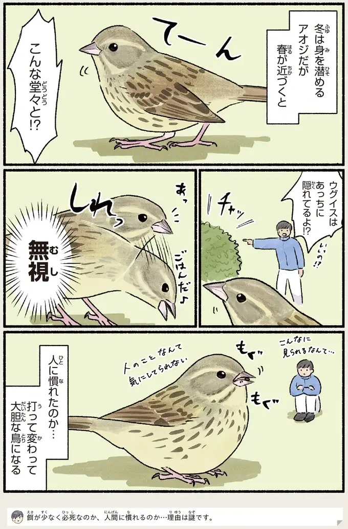 『意外と知らない鳥の生活 1〜2』（105）