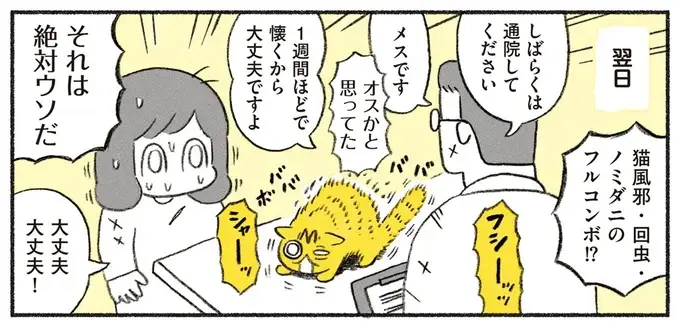 『茶トラのやっちゃん1〜3』（画像1/171枚目）