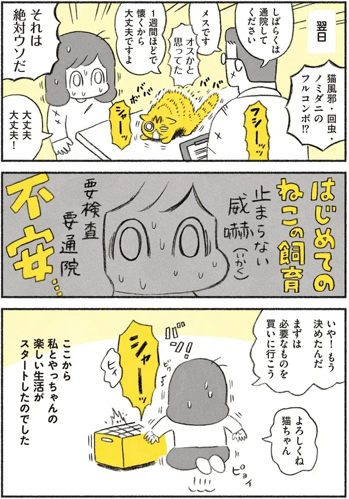 『茶トラのやっちゃん1〜3』（画像4/171枚目）