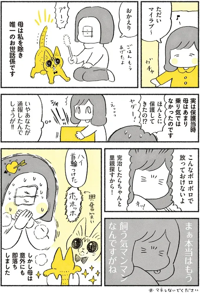 『茶トラのやっちゃん1〜3』（画像14/171枚目）