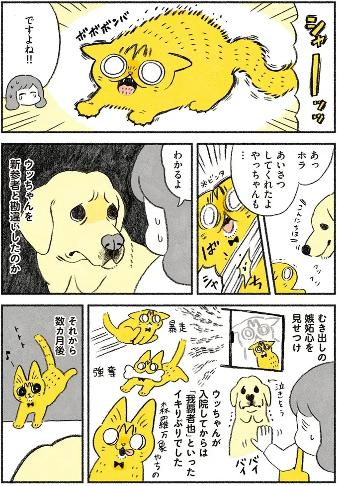 『茶トラのやっちゃん1〜3』（画像51/171枚目）