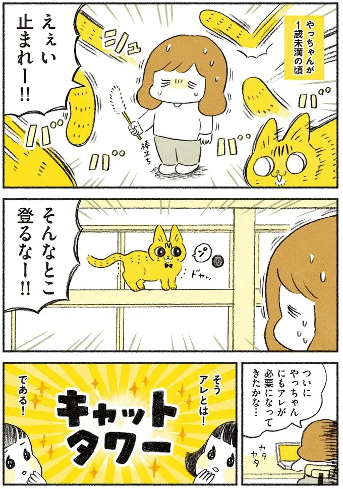 『茶トラのやっちゃん1〜3』（画像58/171枚目）