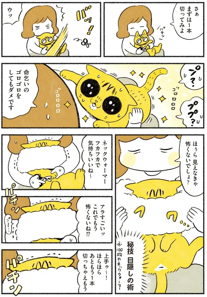 『茶トラのやっちゃん1〜3』（画像69/171枚目）