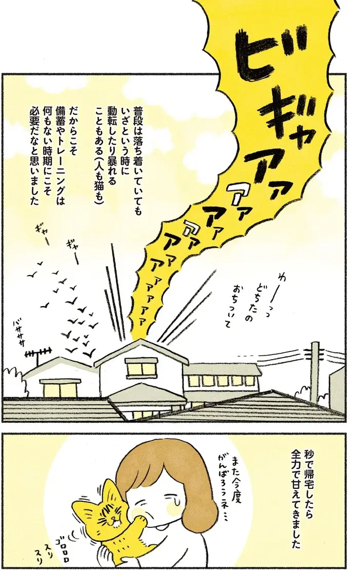 『茶トラのやっちゃん1〜3』（画像81/171枚目）