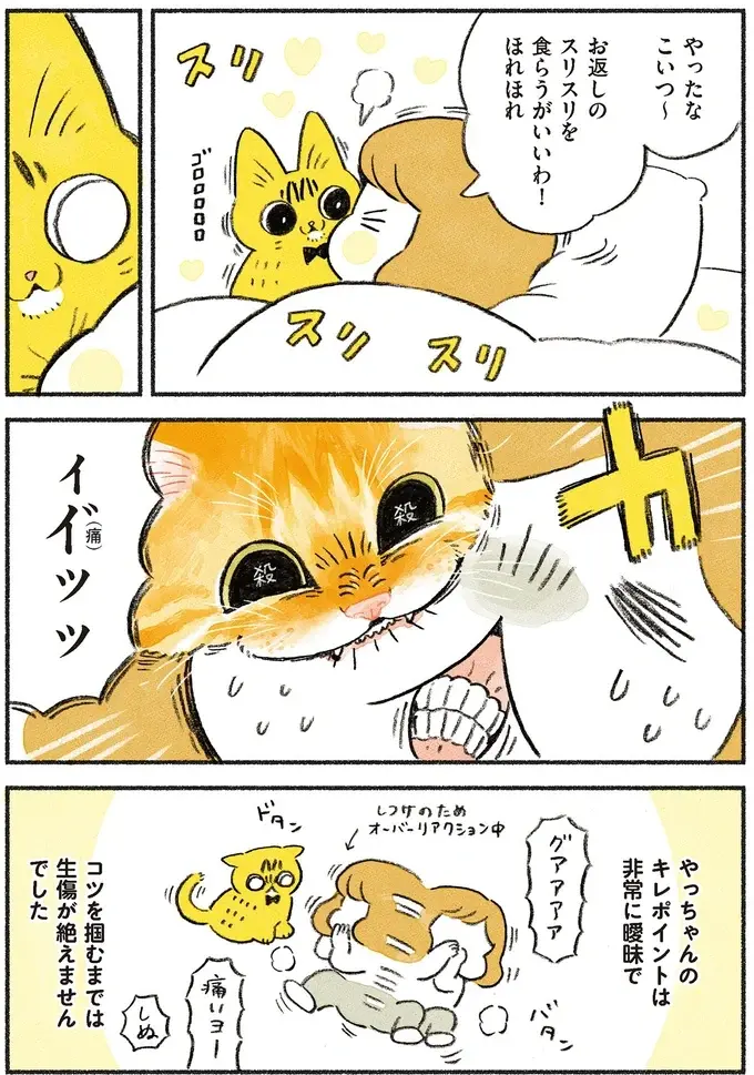 『茶トラのやっちゃん1〜3』（画像83/171枚目）