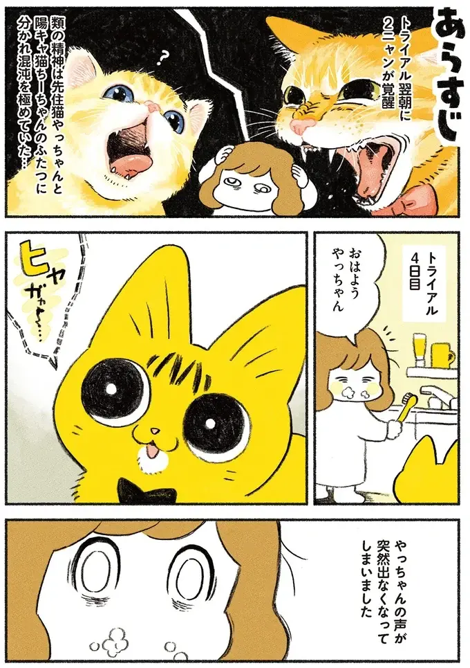『茶トラのやっちゃん1〜3』（画像99/171枚目）