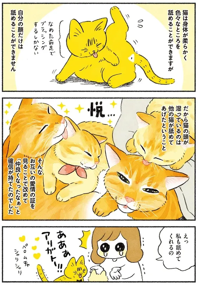『茶トラのやっちゃん1〜3』（画像116/171枚目）