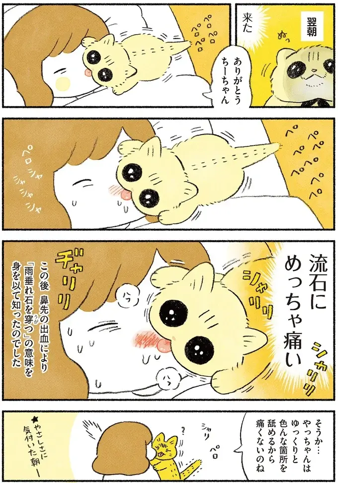 『茶トラのやっちゃん1〜3』（画像119/171枚目）