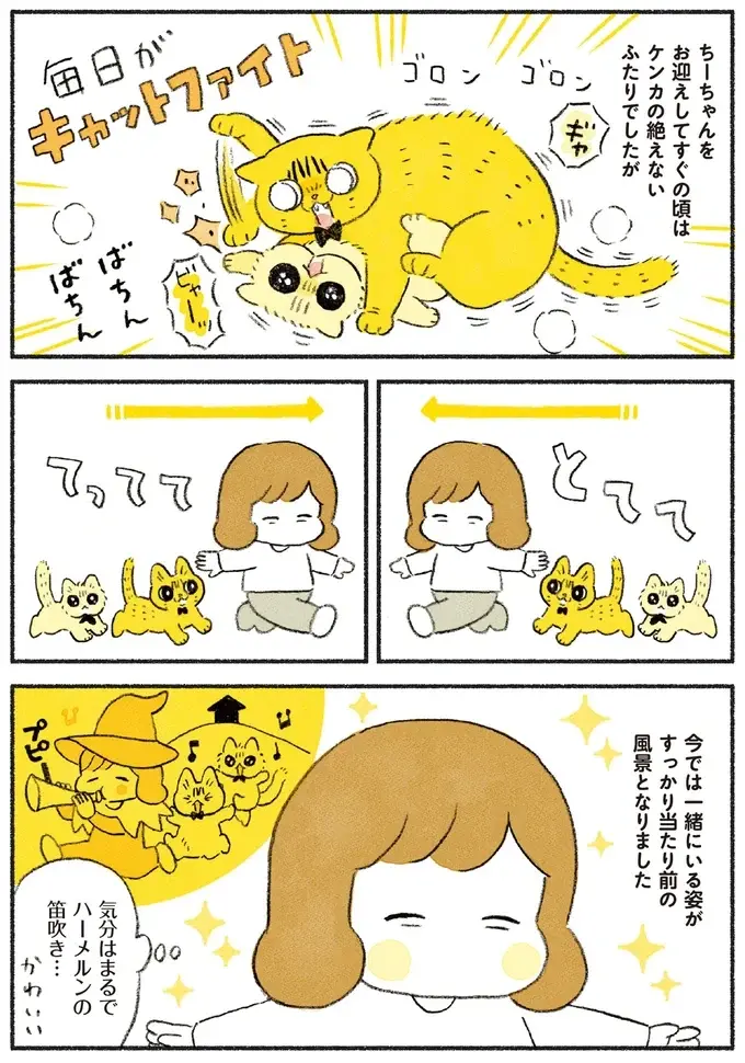 『茶トラのやっちゃん1〜3』（画像121/171枚目）