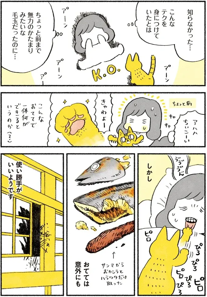 「猫の手」のかわいさを知ってる？ 立てばクリームパン、返せば宝石...そして時には／茶トラのやっちゃん（4）