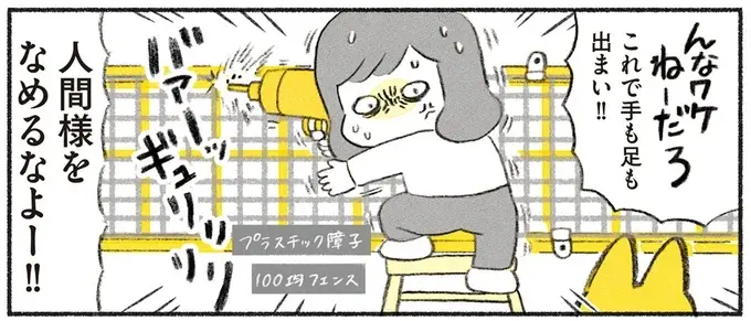 すっかり家に慣れた保護猫。障子が破れることを知り、味をしめて...飼い主が「絶望した瞬間」は／茶トラのやっちゃん（1）