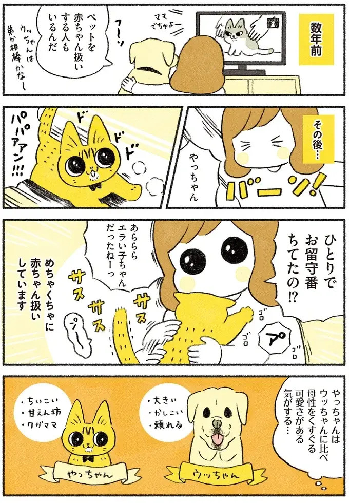 忘れられない「猫のあのポーズ」。保護された子猫はまるで幼児のように...！／茶トラのやっちゃん2（2）