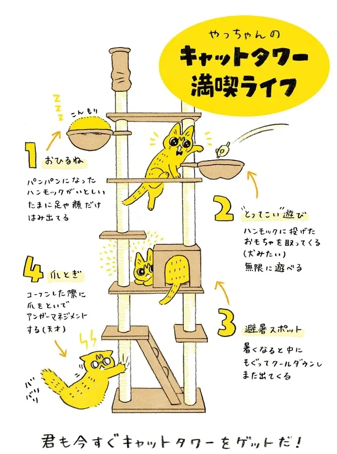 保護されてすっかり元気になった子猫。キャットタワーを準備したら...んん？／茶トラのやっちゃん2（5）