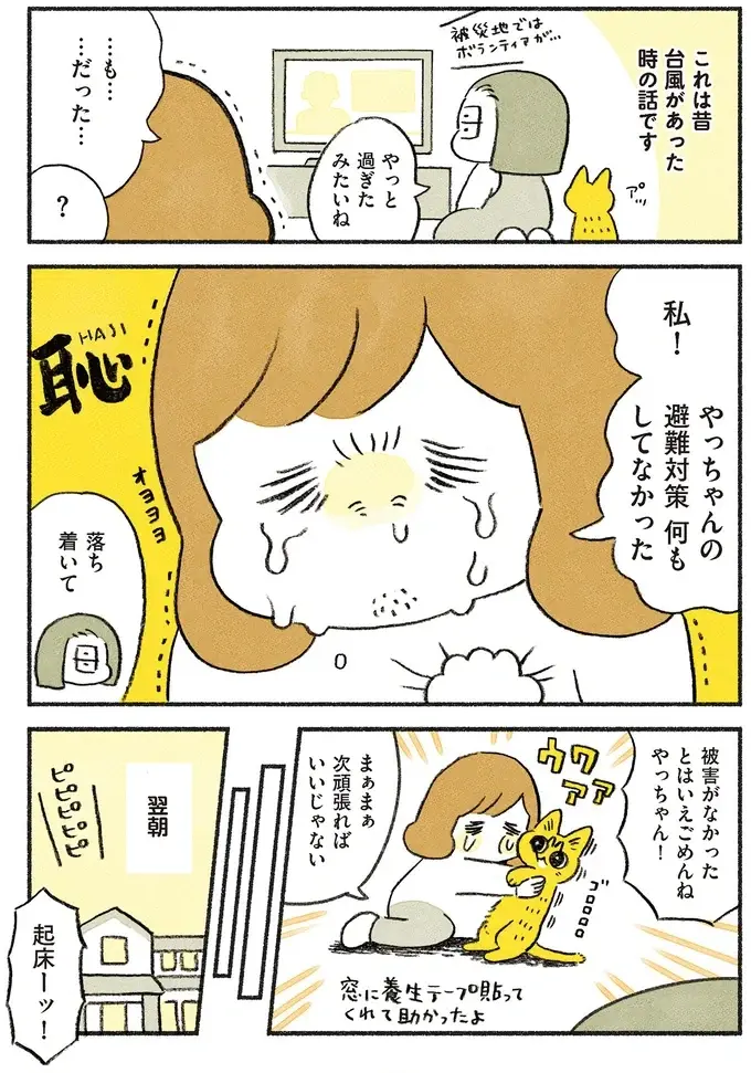 「猫の避難訓練」をしていなかったと大反省の飼い主。早速、同行避難訓練をしたら!?／茶トラのやっちゃん2（2）