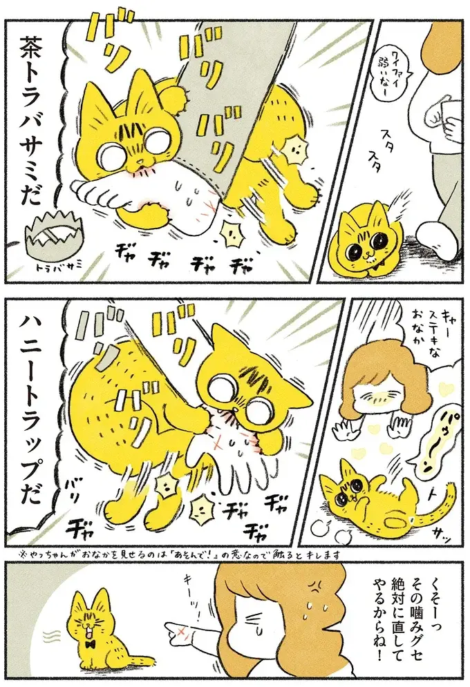 すごい「猫の噛みグセ」にどう対応したか。母にも秘密の方法は...？／茶トラのやっちゃん2（4）