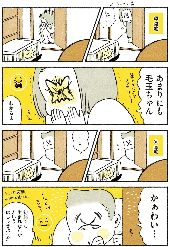 生後数週間で捨てられた子猫...お迎えすることにしたが、「先住猫」の反応は／茶トラのやっちゃん2（4）