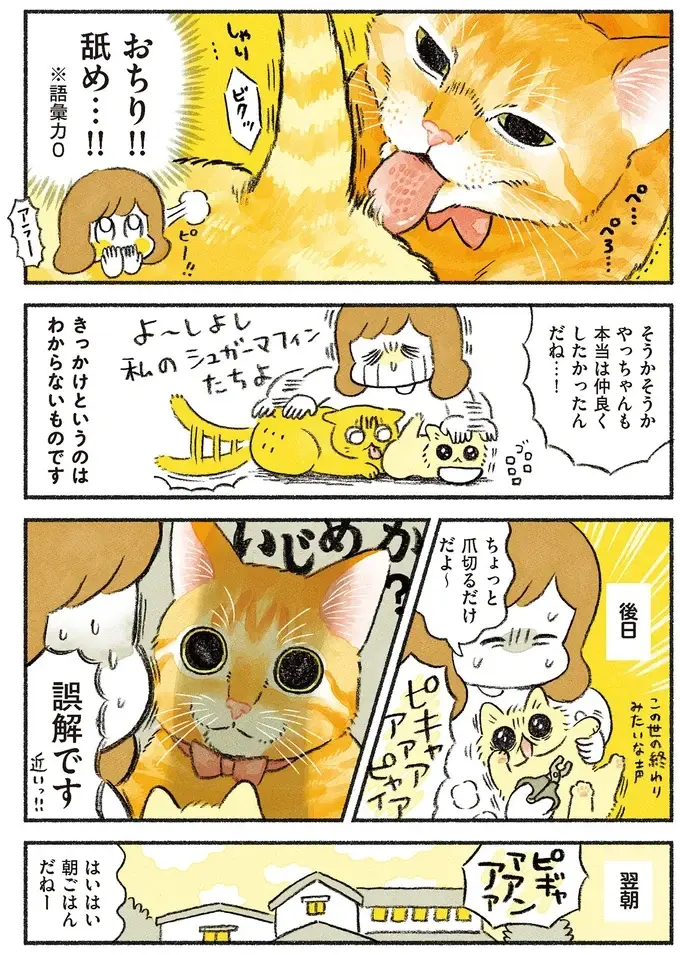 甘えたい新入り猫VS構われたくない先住猫。このまま平行線かと思ったら...!?／茶トラのやっちゃん2（4）