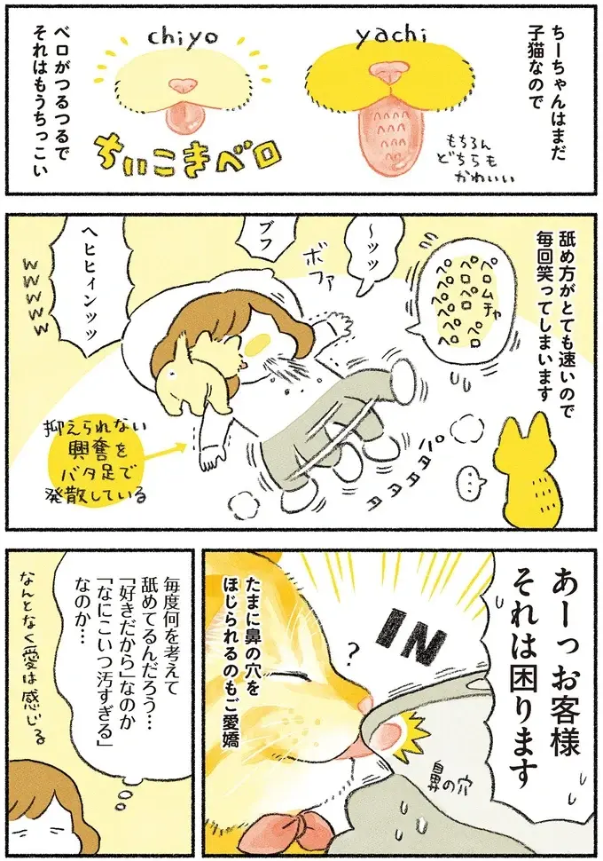 猫に「顔をなめられる」。くすぐったい？ それとも...／茶トラのやっちゃん2（3）