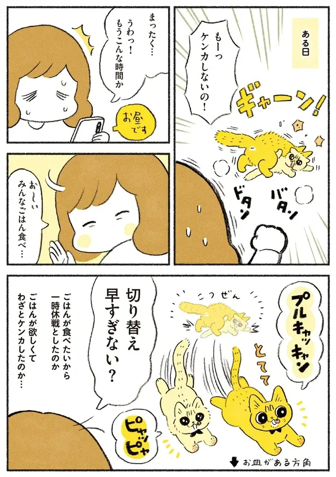 ケンカが絶えなかった2匹の猫たち。一緒にいる姿が当たり前の風景に／茶トラのやっちゃん3（3）