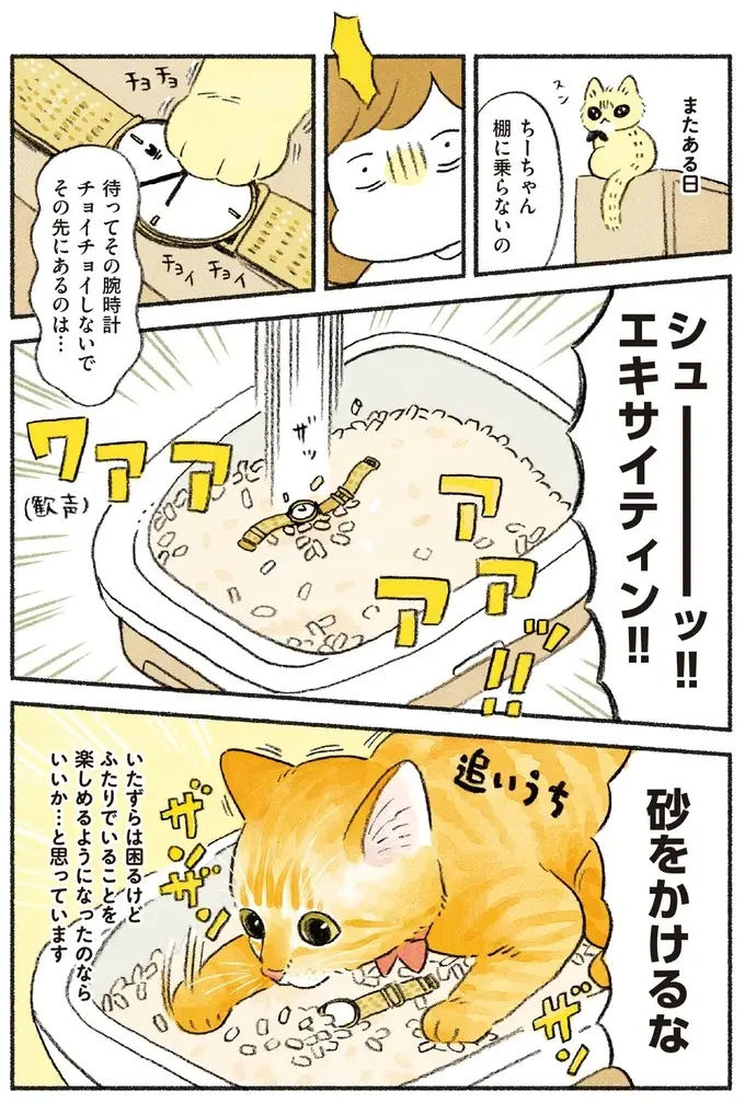 ケンカが絶えなかった2匹の猫たち。一緒にいる姿が当たり前の風景に／茶トラのやっちゃん3（4）