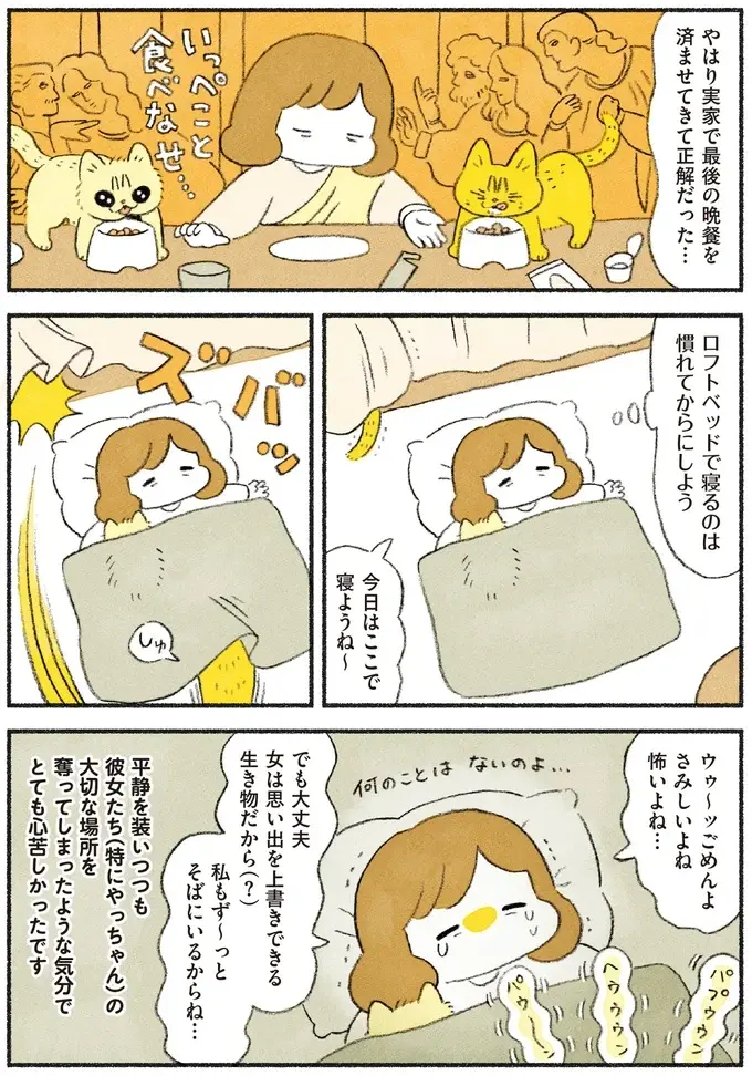 猫たちの大切な場所を奪ってしまった気分...実家から新居へお引っ越し／茶トラのやっちゃん3（5）