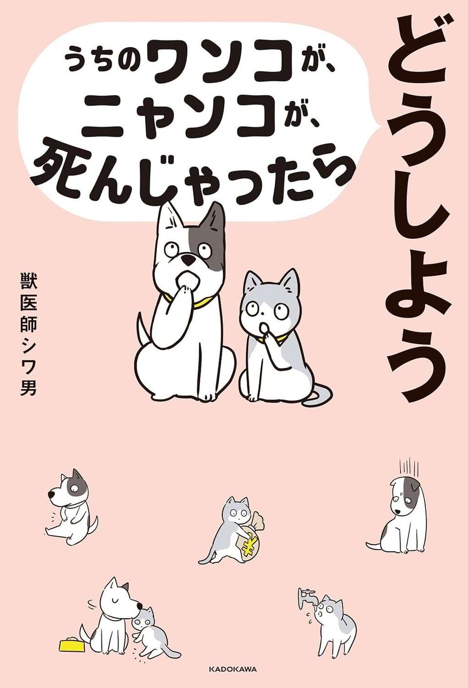【犬・猫の食欲不振】飼い主が知っておくべき「ルール」と危険な「サイン」（4）