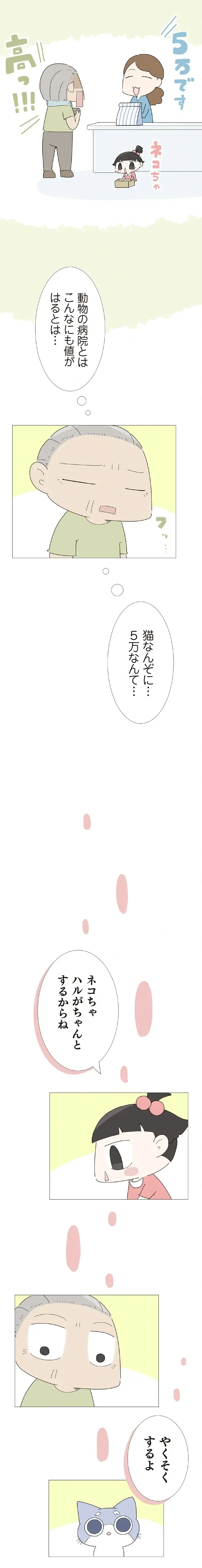 子猫の検査で大出費じゃが...「ハルがちゃんとするからね」という孫がいじらしくて／ハルとゲン（3）