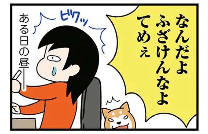 「ふざけんなよ」家の前で始まった痴話ゲンカ。窓から見ていた柴犬が吠えた「理由」／ドヤ顔柴犬どんぐり（1）