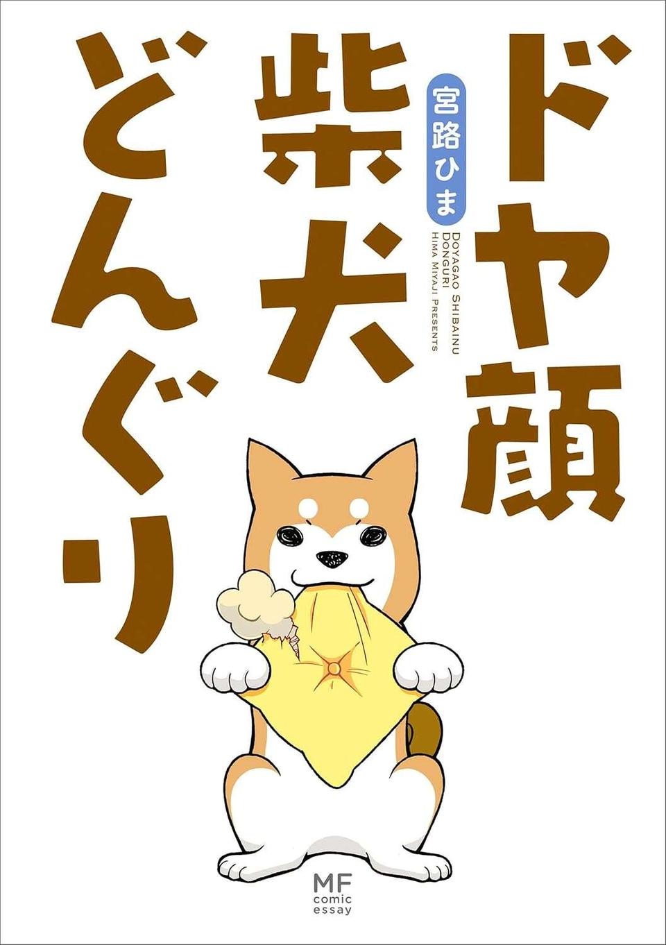 「ふざけんなよ」家の前で始まった痴話ゲンカ。窓から見ていた柴犬が吠えた「理由」／ドヤ顔柴犬どんぐり（7）