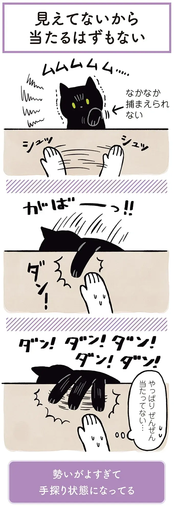 『黒猫ろんと暮らしたら』1～3（19）
