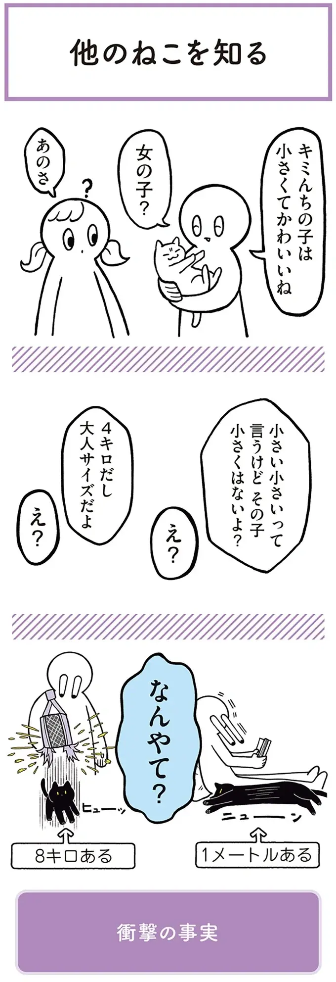 『黒猫ろんと暮らしたら』1～3（24）