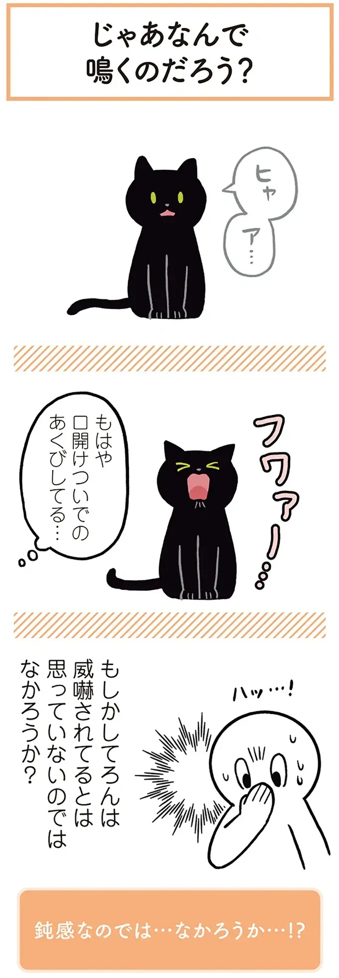 『黒猫ろんと暮らしたら』1～3（41）