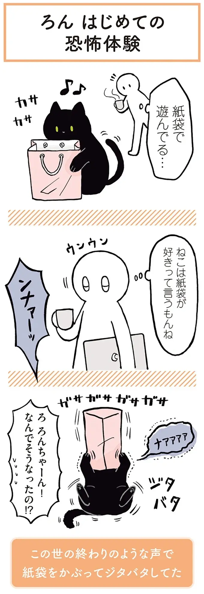 『黒猫ろんと暮らしたら』1～3（42）