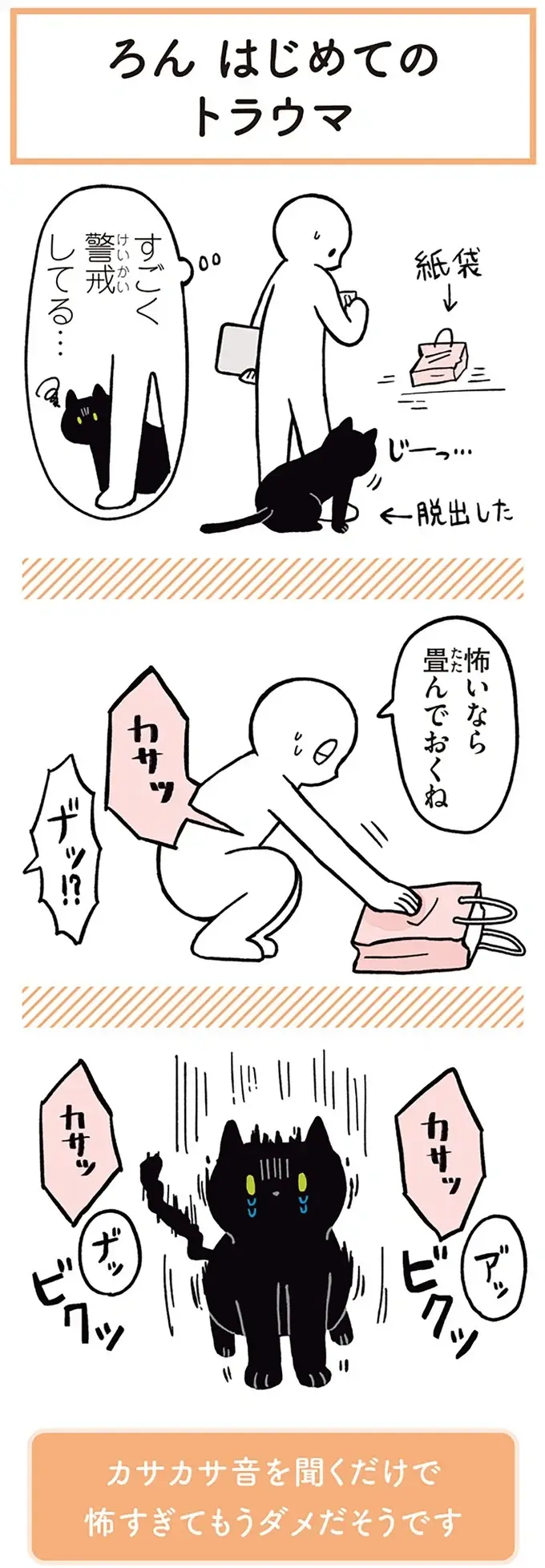 『黒猫ろんと暮らしたら』1～3（43）