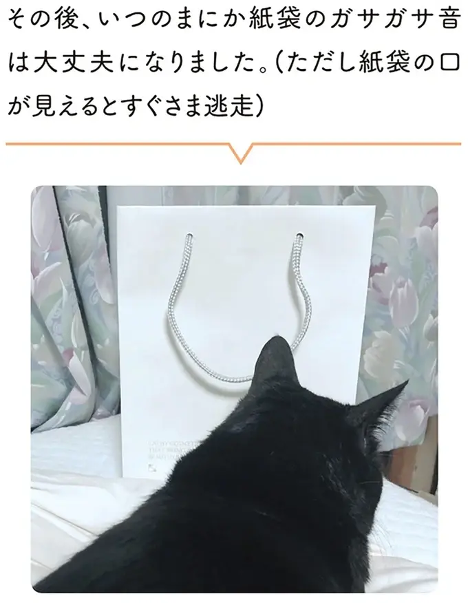 『黒猫ろんと暮らしたら』1～3（45）