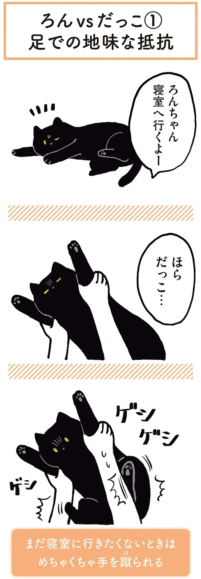 『黒猫ろんと暮らしたら』1～3（46）