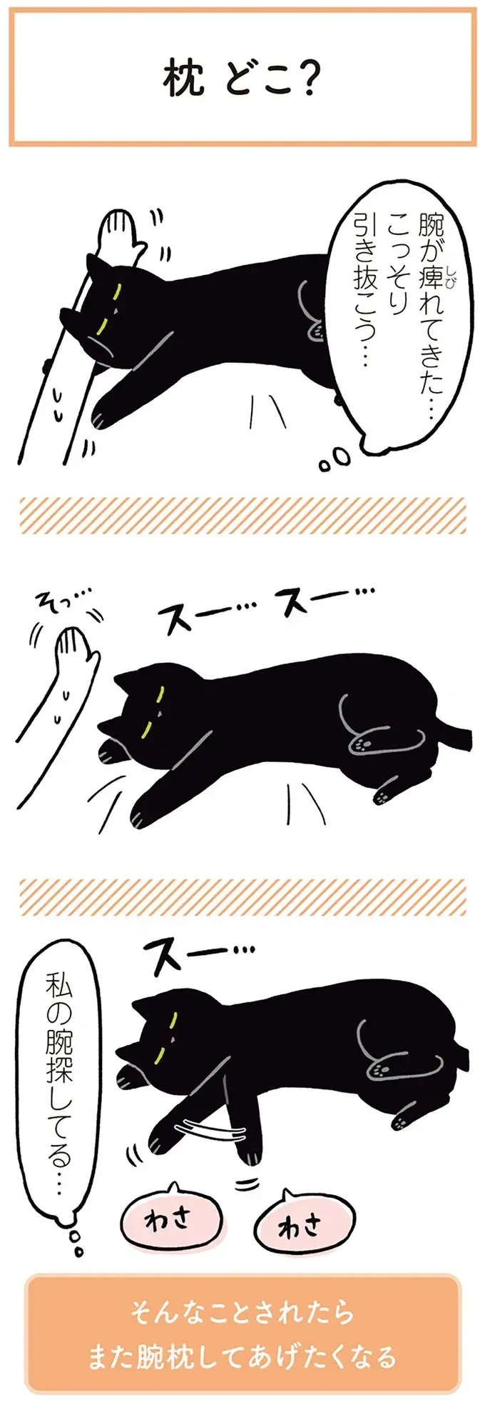 『黒猫ろんと暮らしたら』1～3（56）