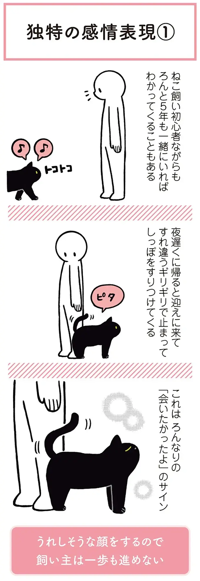『黒猫ろんと暮らしたら』1～3（64）