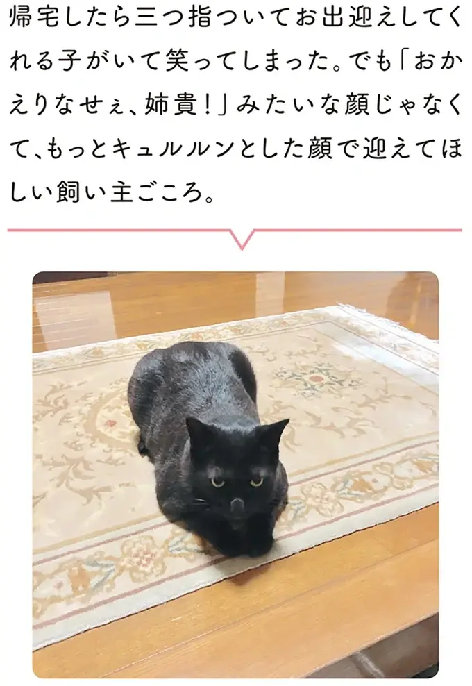 『黒猫ろんと暮らしたら』1～3（69）