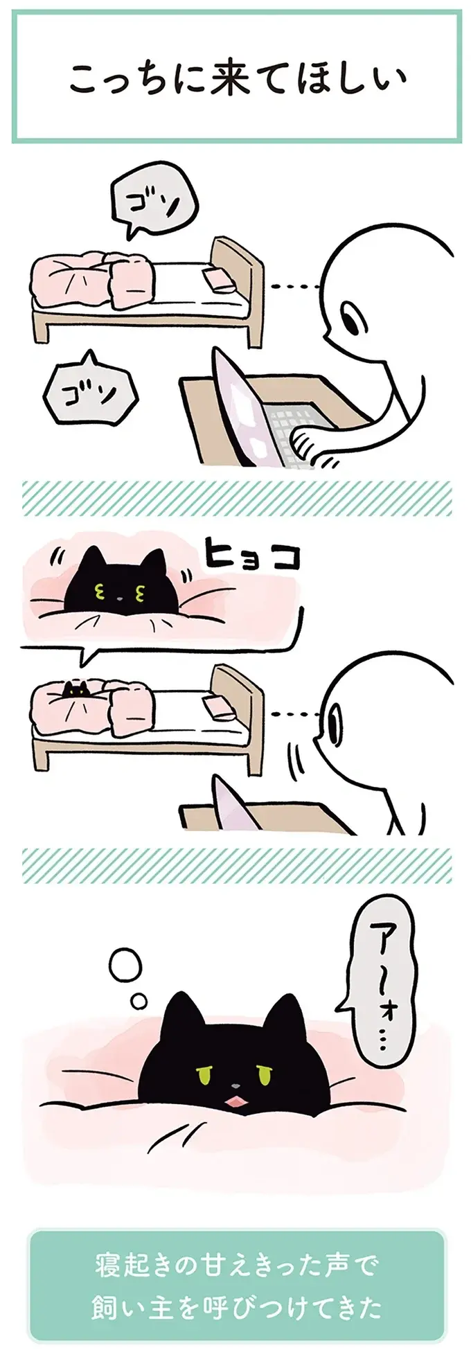 『黒猫ろんと暮らしたら』1～3（76）