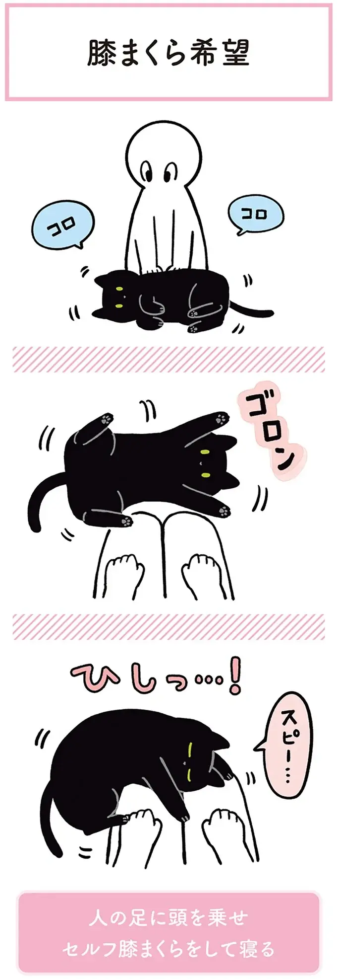 『黒猫ろんと暮らしたら』1～3（99）