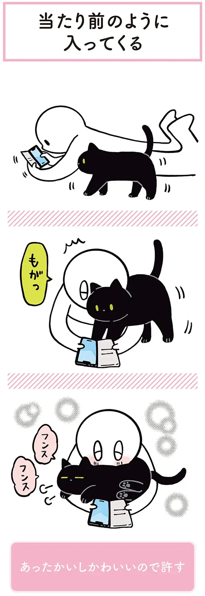 『黒猫ろんと暮らしたら』1～3（101）