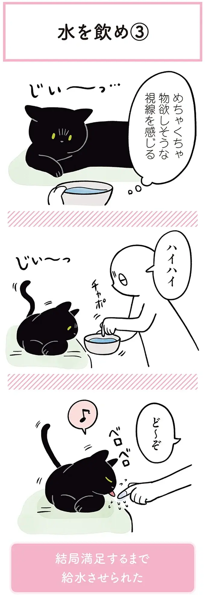 『黒猫ろんと暮らしたら』1～3（107）