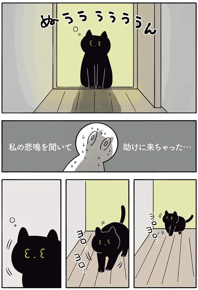 『黒猫ろんと暮らしたら』1～3（112）