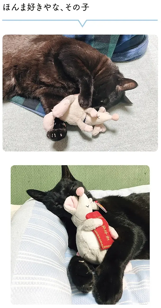 『黒猫ろんと暮らしたら』1～3（131）