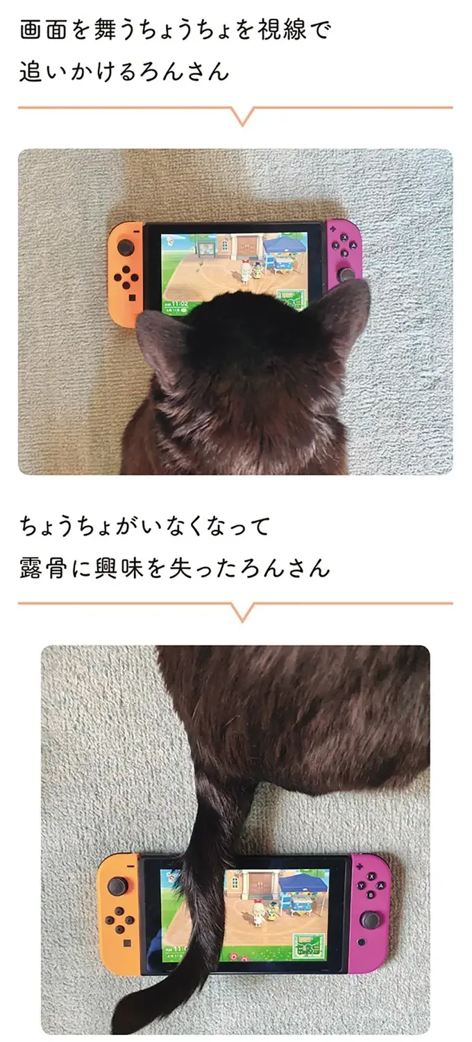 『黒猫ろんと暮らしたら』1～3（139）